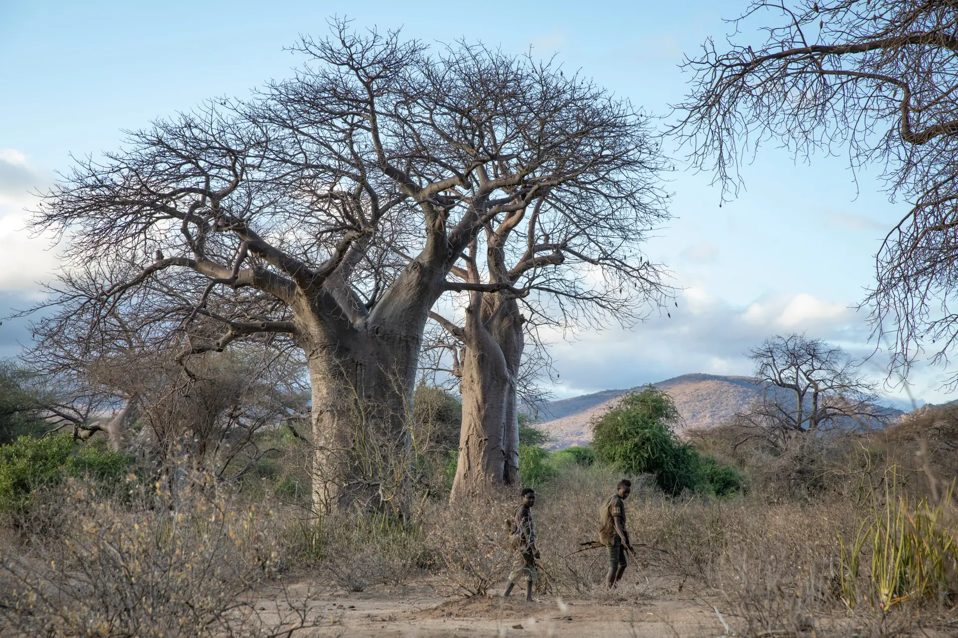 Hadzabe man carrying a bow in Tanzania