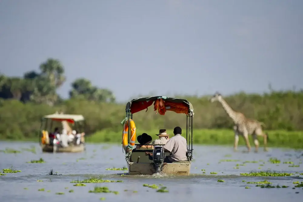 Travellers in a safari vehicle watching giraffes